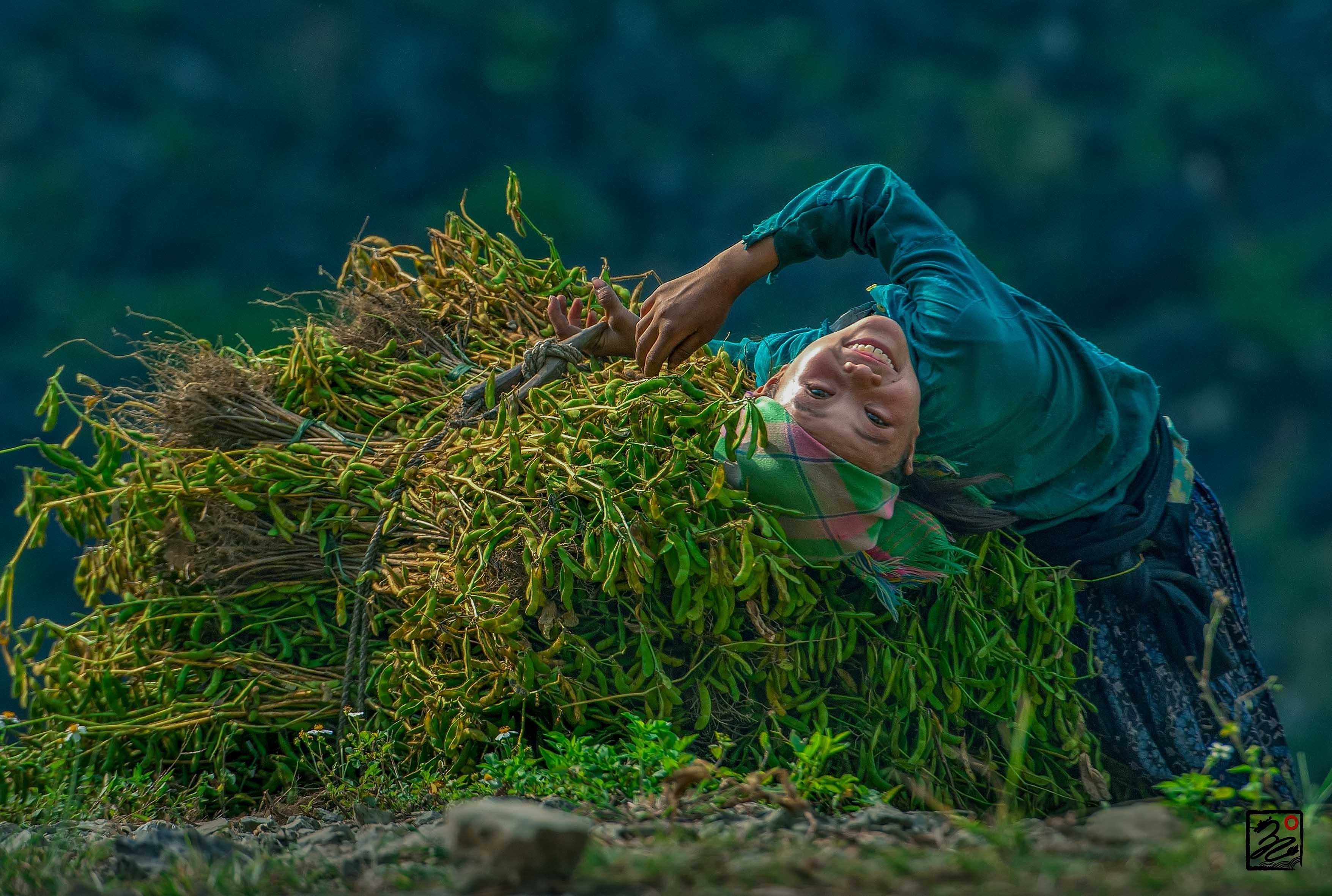 组图：“五彩缤纷的越南”摄影展充分反映越南自然之美 hinh anh 3