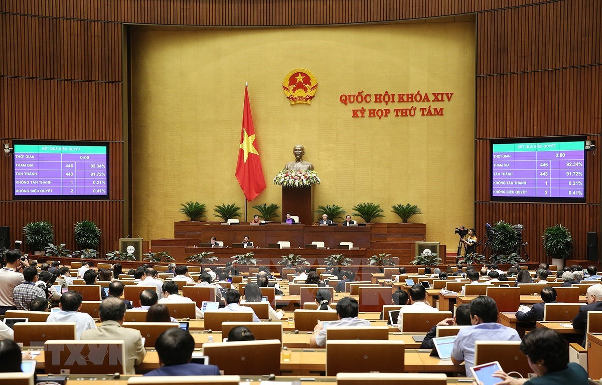 越南第14届国会第8次会议颁布新决议 hinh anh 1