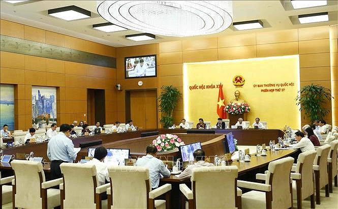 越南国会常委会第37次会议：将爱尔兰的无偿援助资金作为2019年国家财政预算的补充 hinh anh 1