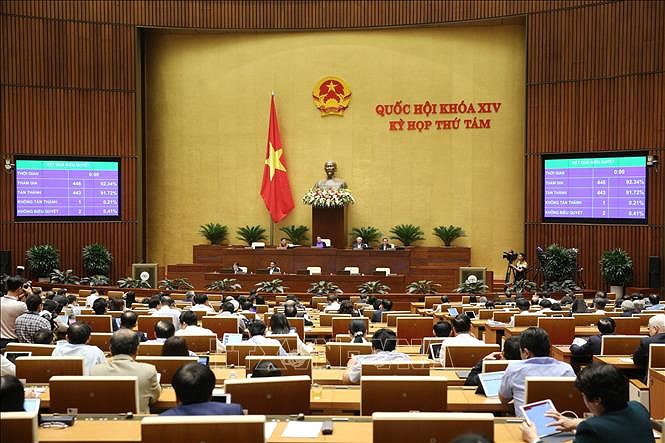 越南第十四届国会第八次会议进入最后一周 hinh anh 1
