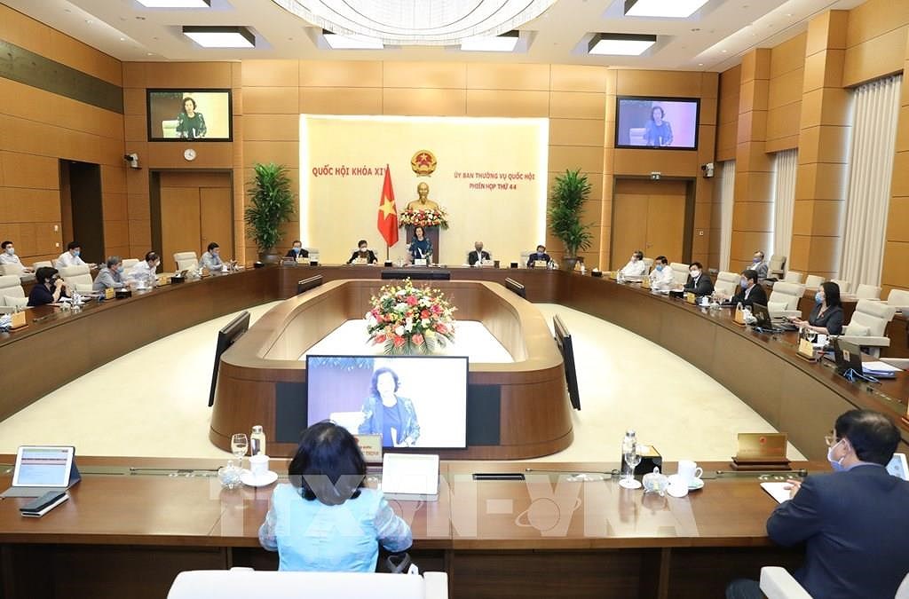 第46届国会常务委员会：越南第十四届国会第十次会议将继续以视频形式召开 hinh anh 2