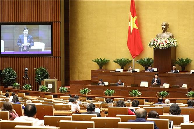 越南第十四届国会第十次会议新闻公报（第三号） hinh anh 1