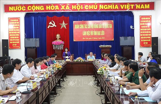 国家副主席邓氏玉盛：薄辽省需做好选举前、选举中和选举后宣传工作 hinh anh 1