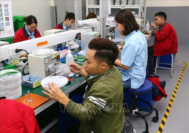 越南积极推动残疾人参政议政 hinh anh 1