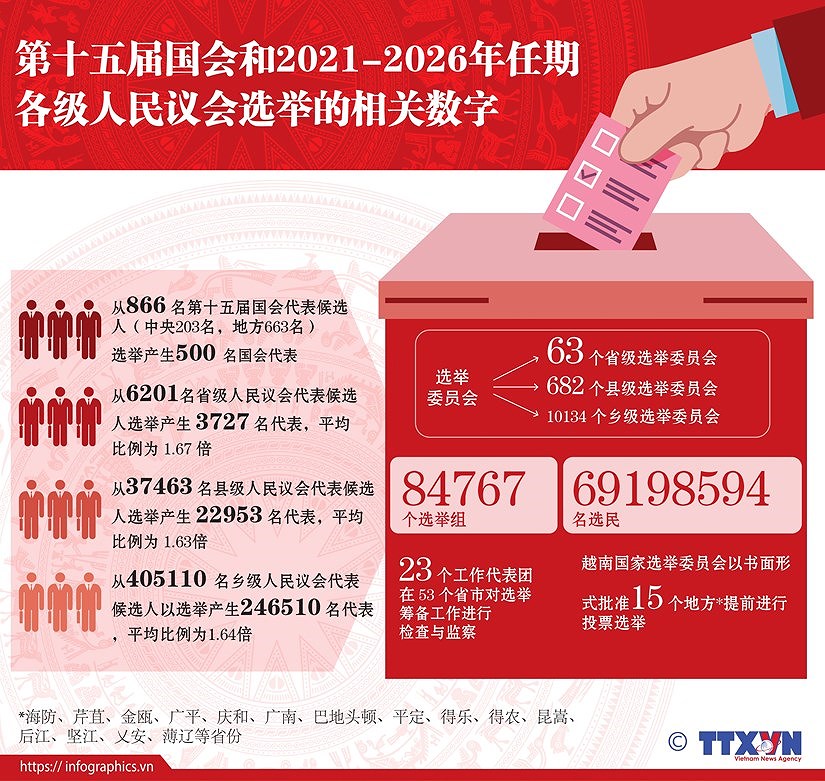 越南换届选举取得成功：全民大团结是力量之源 hinh anh 8