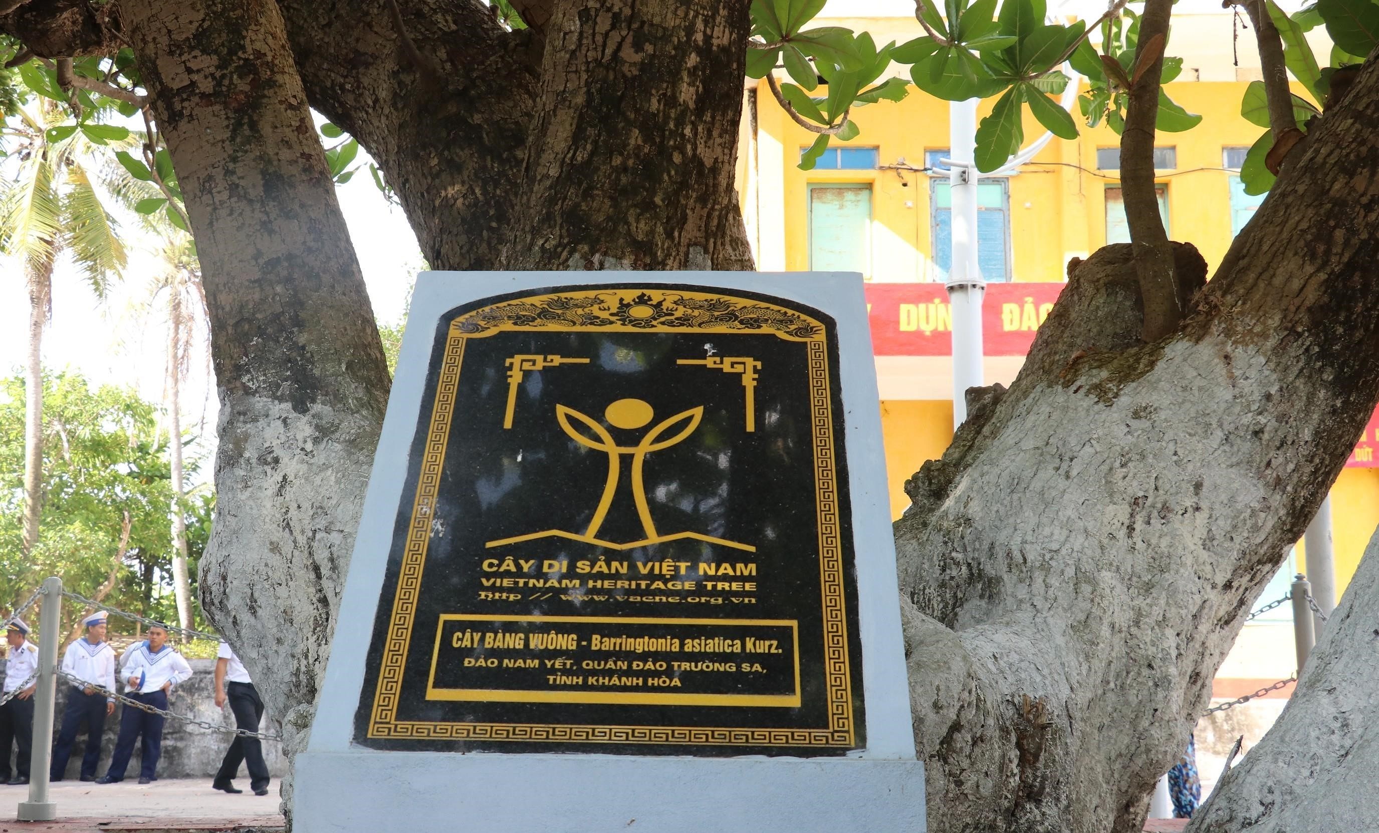 组图：长沙群岛上主权界碑——遗产树 hinh anh 4