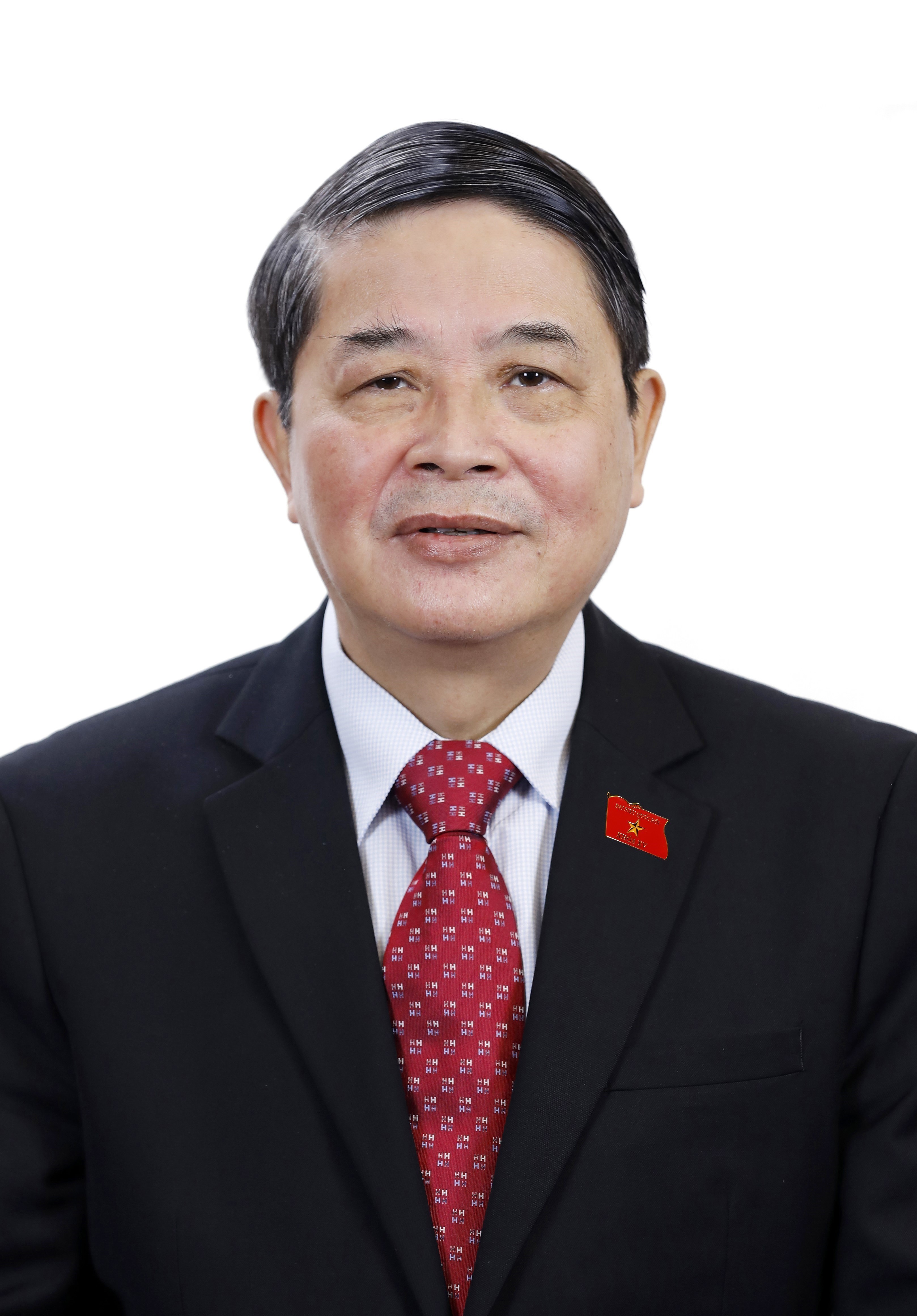 15th National Assembly elect Standing Committee hinh anh 7