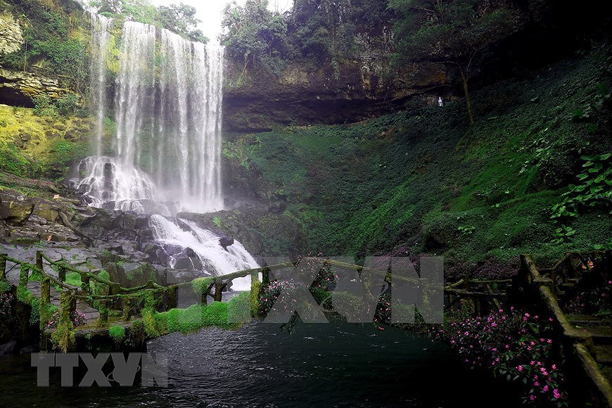 Dambri Waterfall - Central Highlands' majestic beauty hinh anh 2