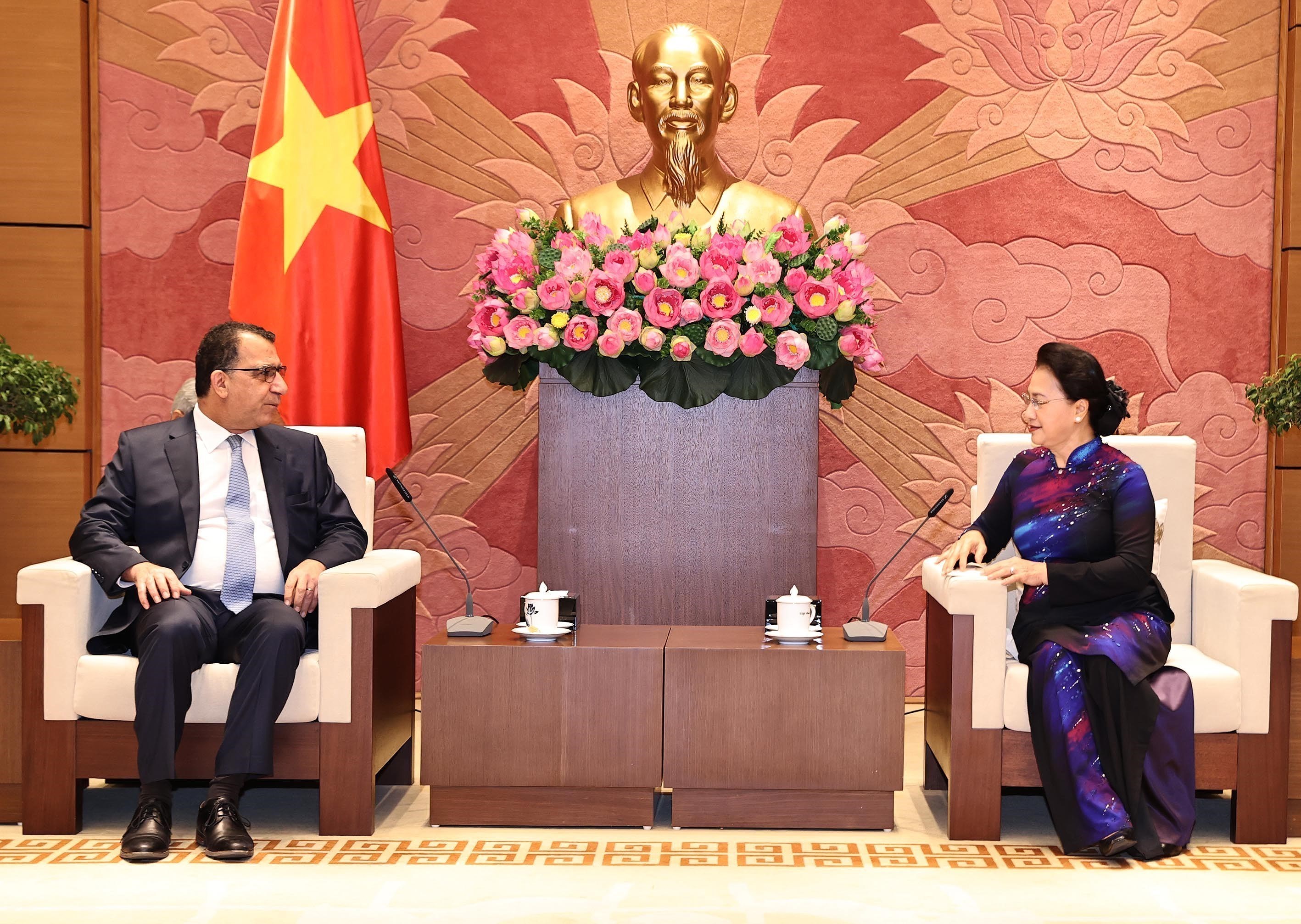 Vietnam, Chile enjoy growing comprehensive partnership hinh anh 1