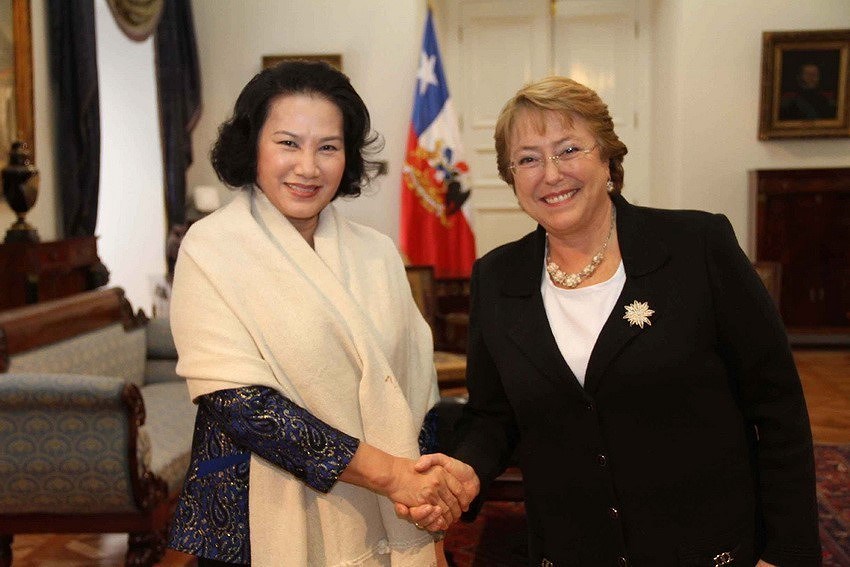 Vietnam, Chile enjoy growing comprehensive partnership hinh anh 6