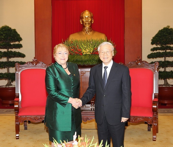 Vietnam, Chile enjoy growing comprehensive partnership hinh anh 4