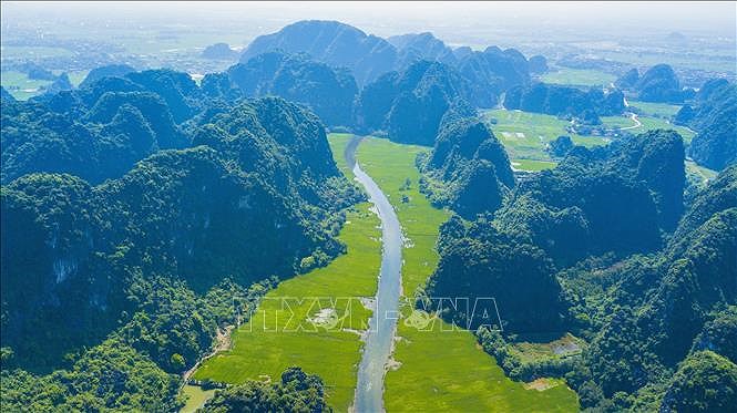 Captivating golden ripe rice fields in Ninh Binh hinh anh 2