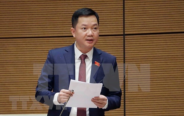 Stronger solutions needed to avoid economic crackdown: NA deputies hinh anh 2