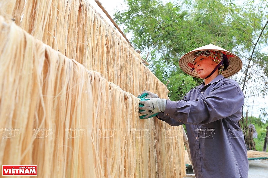 Vietnamese banana fibers reach out to world market hinh anh 3
