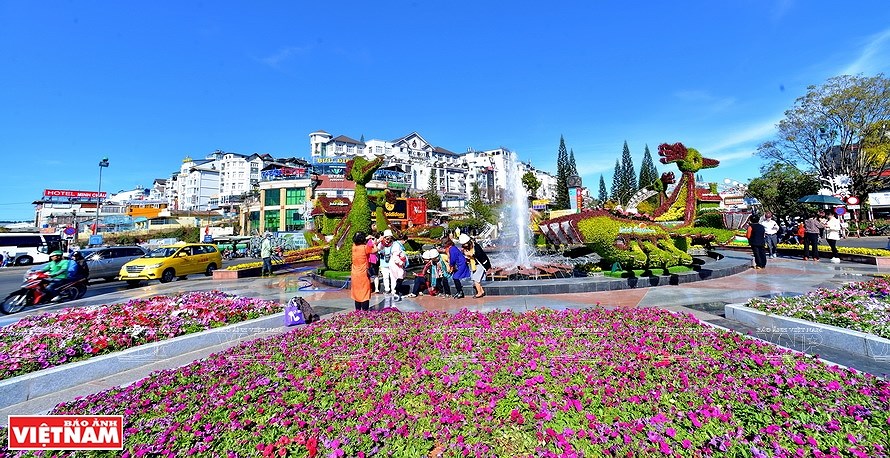 Da Lat, the capital of flower export hinh anh 5