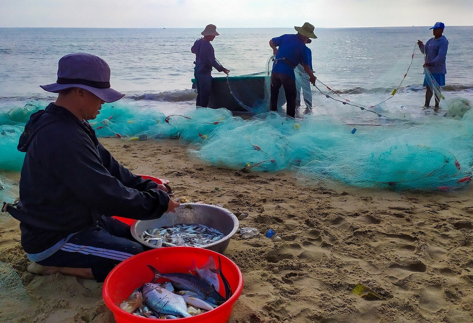 Fishermen pull in nets in Da Nang city hinh anh 6
