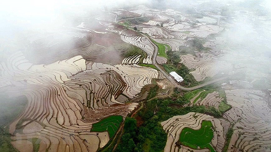 Y Ty rice terraces in pouring-water season hinh anh 1
