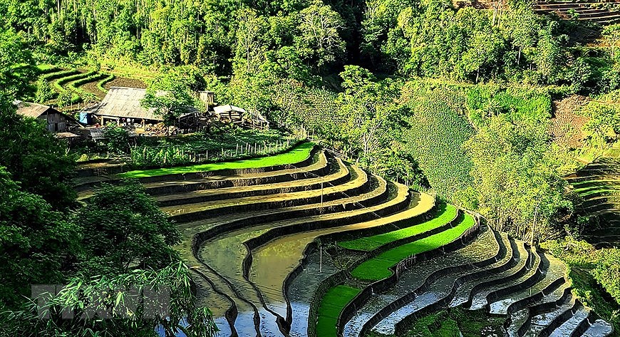 Y Ty rice terraces in pouring-water season hinh anh 2