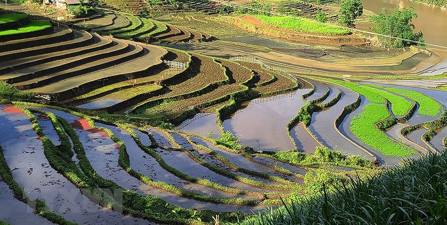 Y Ty rice terraces in pouring-water season hinh anh 3