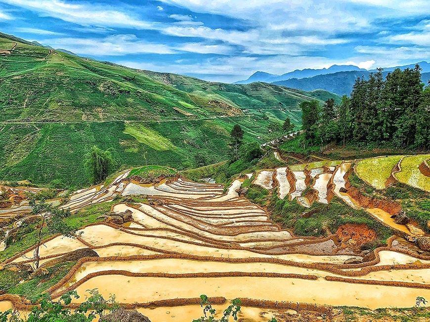 Y Ty rice terraces in pouring-water season hinh anh 5