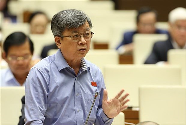 Legislator puts forth solutions to socio-economic development issues hinh anh 1