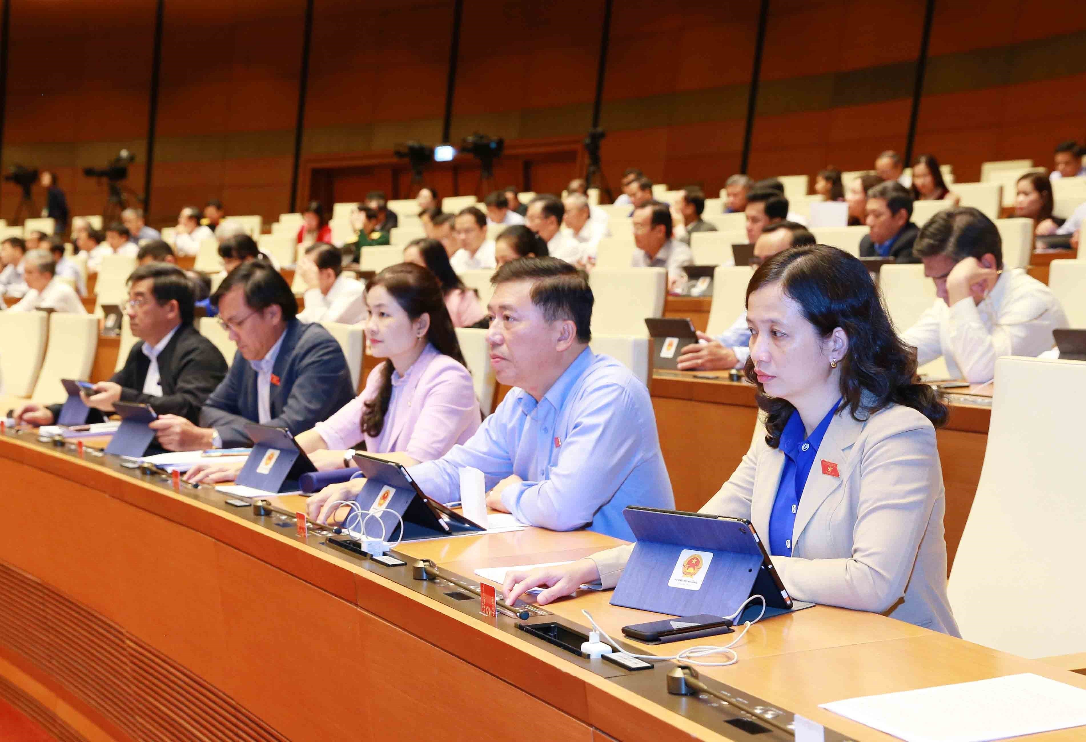 NA adopts resolution on State budget estimate in 2021 hinh anh 1