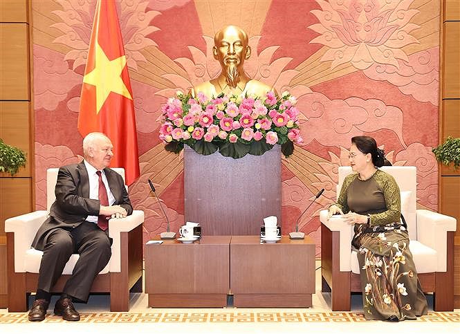 Vietnam-Russia parliamentary ties enjoy positive progress: top legislator hinh anh 1