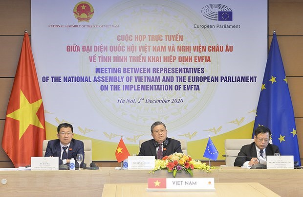 Vietnamese NA, EP discuss EVFTA implementation hinh anh 1