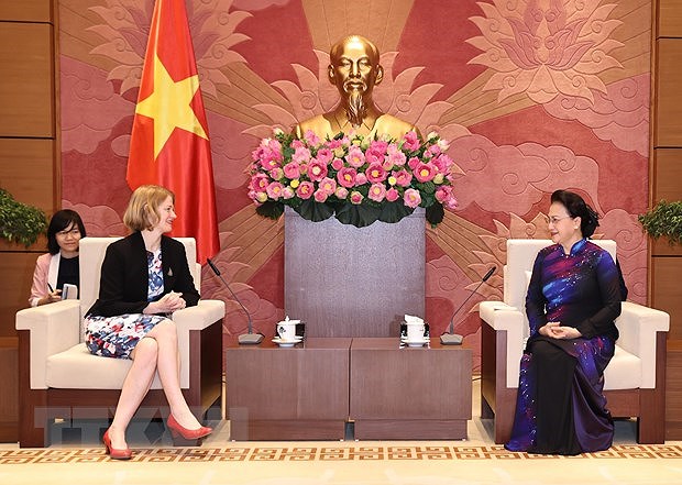 NA leader receives Ambassadors of New Zealand, Chile, Indonesia hinh anh 1