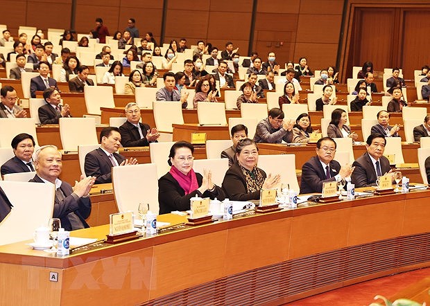 More effort needed to renovate National Assembly's operations: Top legislator hinh anh 1
