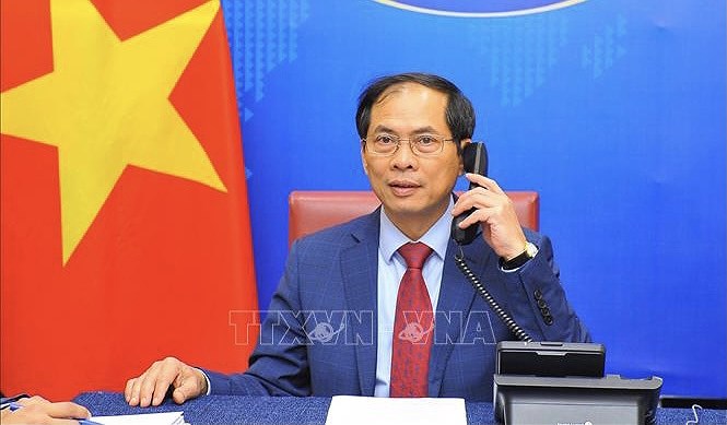 Vietnamese, Singaporean Foreign Ministers hold phone talks hinh anh 1