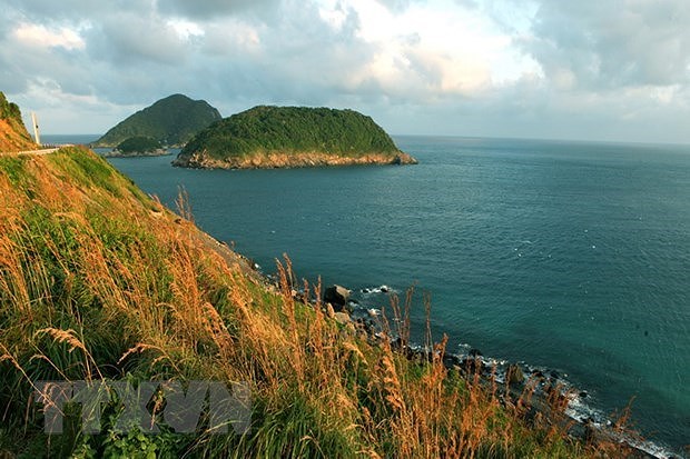 Con Dao island home to one of 25 most beautiful beaches worldwide hinh anh 1
