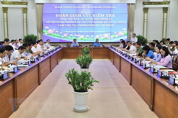 Ho Chi Minh City’s preparations for elections examined hinh anh 1