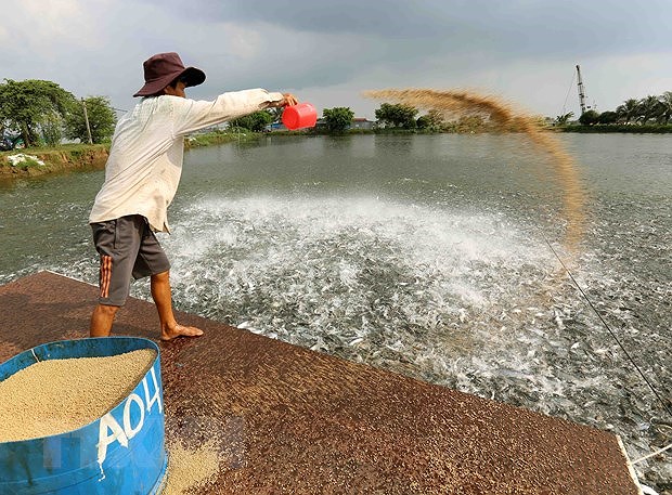 Dong Thap aims to cut down poverty ratio by 0.5 percent in 2021 hinh anh 1