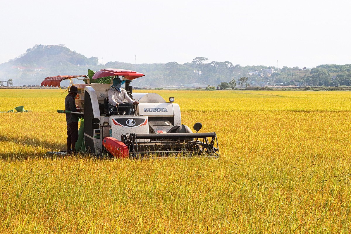 Ba Ria-Vung Tau: Agricultural mechanisation benefits local farmers hinh anh 2