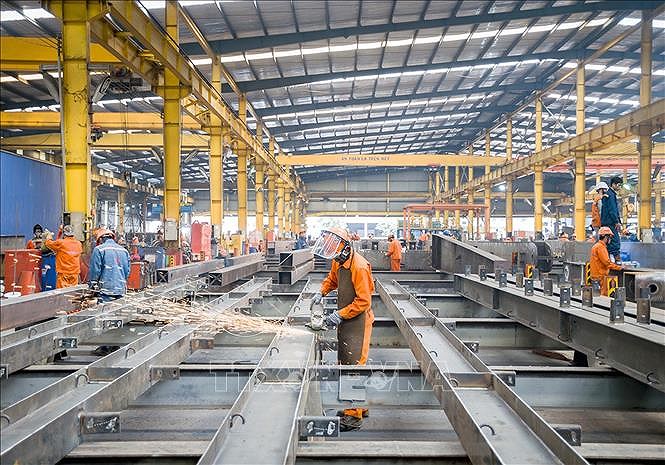 HCM City’s industrial production up 7.4 percent in first five months hinh anh 1