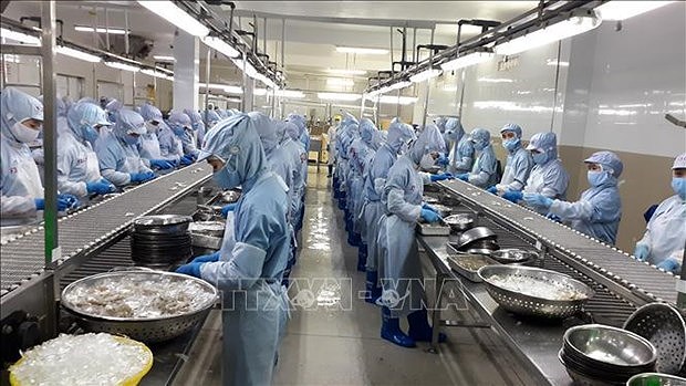 Vietnam has 620 industrial aquatic processing facilities hinh anh 1