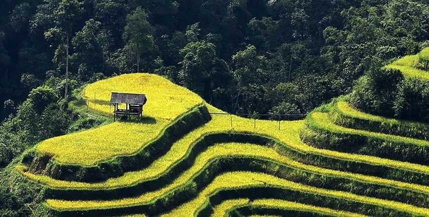 Ha Giang to host culture week highlighting terraced rice fields hinh anh 1