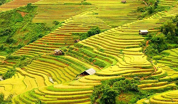 Ha Giang to host culture week highlighting terraced rice fields hinh anh 3