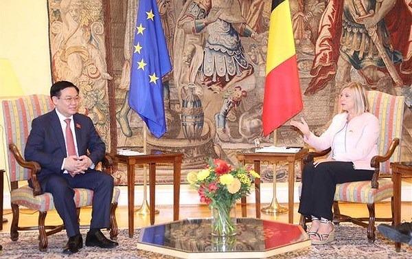 NA Chairman holds talks with leader of Belgium's Chamber of Representatives hinh anh 1