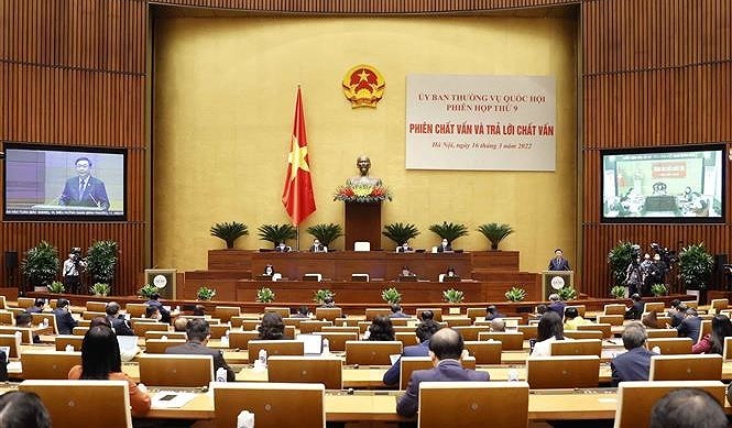 Ministers questioned about industry - trade, natural resources - environment issues hinh anh 1