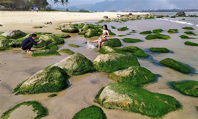 Impresionante belleza de playa de musgo Nam O en ciudad vietnamita hinh anh 5