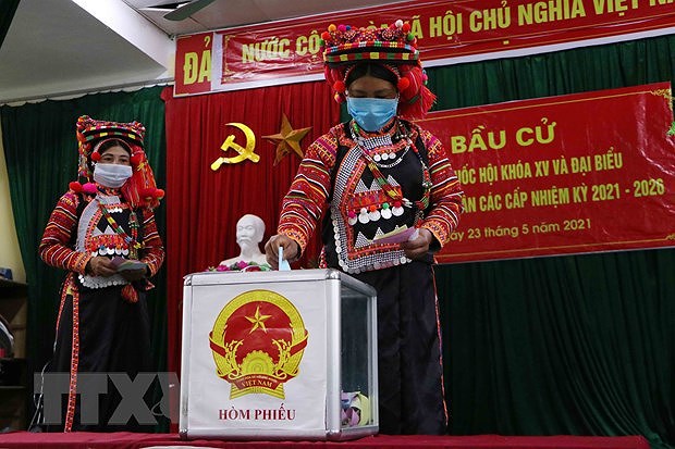 Primeras imagenes de elecciones legislativas en Vietnam hinh anh 3