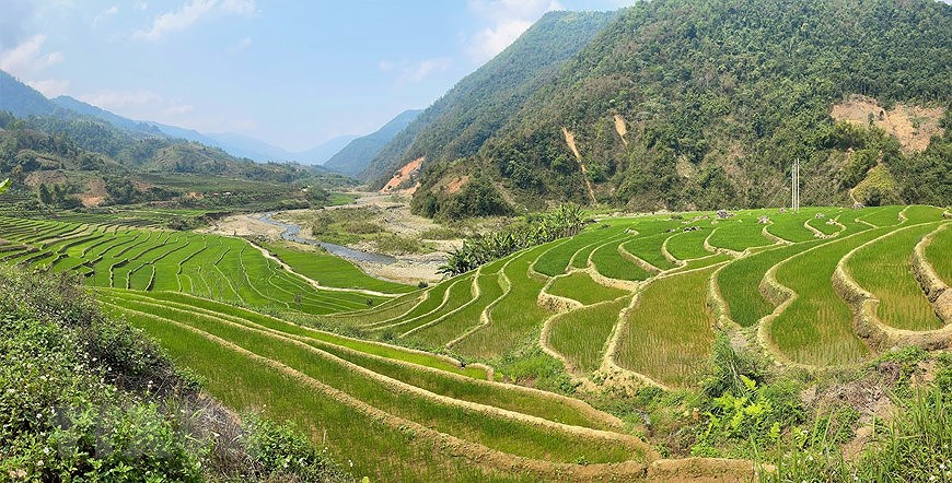 Belleza de las terrazas de arroz en provincia vietnamita de Lai Chau hinh anh 1