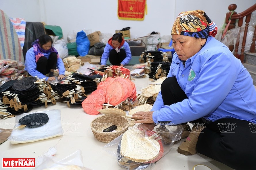 Desarrollan aldea vietnamita de oficio de abanicos hechos a mano con hojas en Binh Xa hinh anh 6