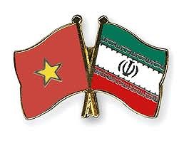 Presidenta del Parlamento vietnamita felicita a su homologo irani hinh anh 1