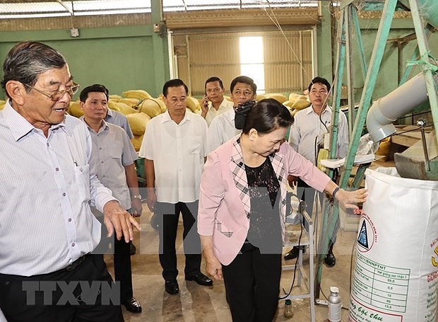 Presidenta del Parlamento vietnamita realiza visita de trabajo a provincia de Soc Trang hinh anh 1