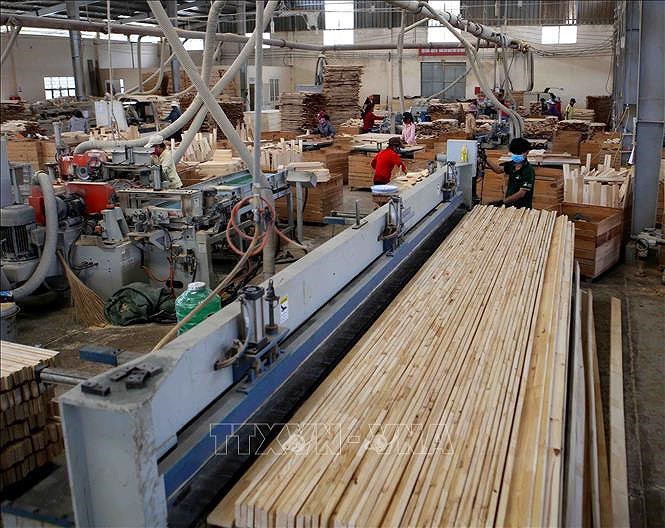 Vietnam: segundo exportador mundial de madera hinh anh 1