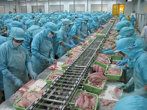 Vietnam por ingresar en 2045 al top 3 mundial de exportadores de productos acuicolas hinh anh 1