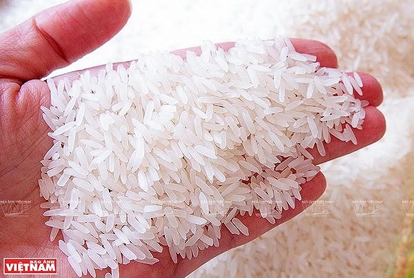 Alta demanda dispara precios del arroz vietnamita, segun Business Recorder hinh anh 1
